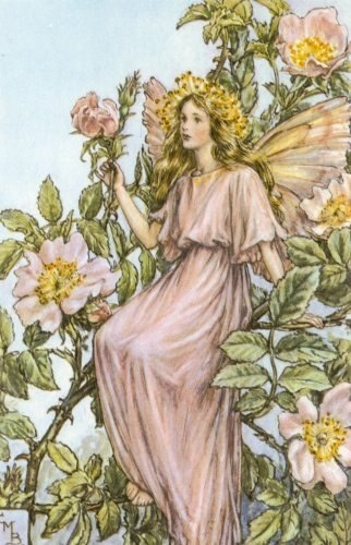 Цветочные феи от Cicely Mary Barker (1895-1973)

 Cicely Mary Barker - английский..3