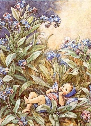 Цветочные феи от Cicely Mary Barker (1895-1973)

 Cicely Mary Barker - английский..6