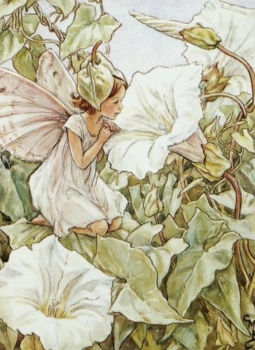 Цветочные феи от Cicely Mary Barker (1895-1973)

 Cicely Mary Barker - английский..0