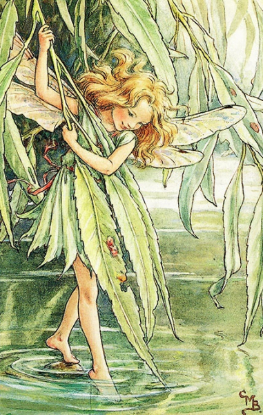 Цветочные феи от Cicely Mary Barker (1895-1973)

 Cicely Mary Barker - английский..8