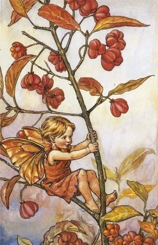 Цветочные феи от Cicely Mary Barker (1895-1973)

 Cicely Mary Barker - английский..1