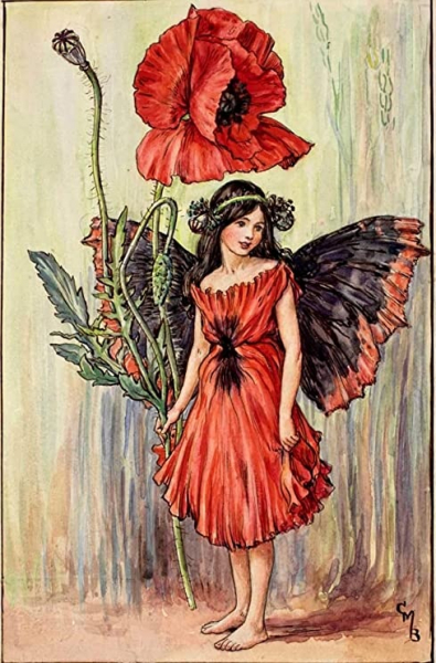 Цветочные феи от Cicely Mary Barker (1895-1973)

 Cicely Mary Barker - английский..7