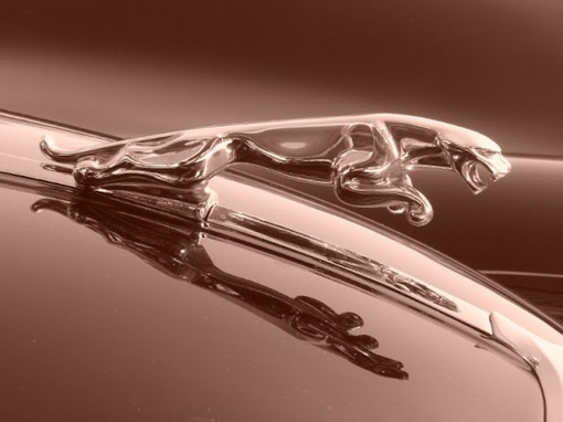 Да, это сексуально. Jaguar XK140, 1955..3