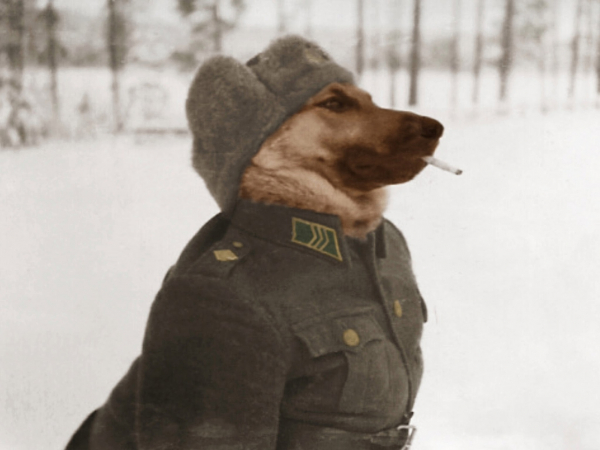 Финский солдат бдит, 1944 год.

..0