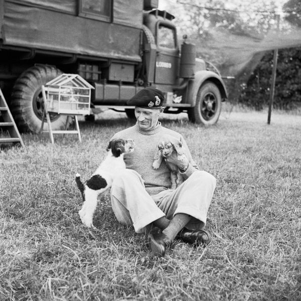 Генерал Монтгомери со своими щенками Гитлером (слева) и Роммелем..0