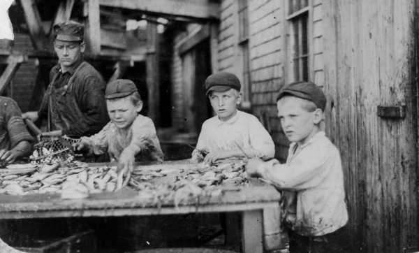 Разделка рыбы детьми.

 Льюис Хайн был одним из первых фотографов,..7