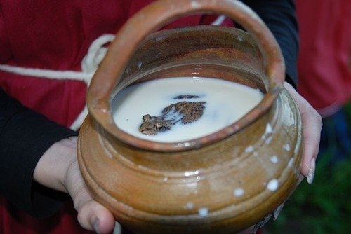 В Древней Руси в сосуд с молоком запускали лягушку, для того..0