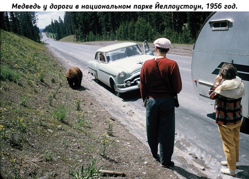 Америка 1950-х годов в..7