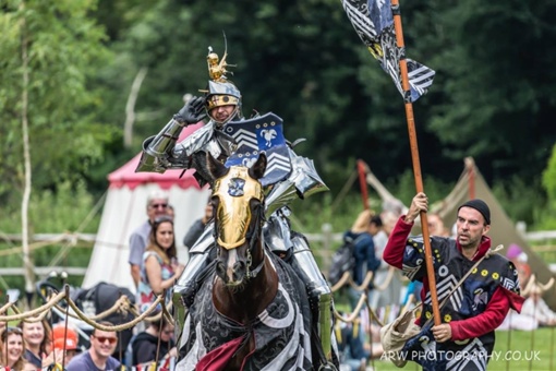 Arundel International Tournament. Средневековый турнир и его представители в..1