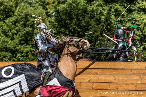 Arundel International Tournament. Средневековый турнир и его представители в..7