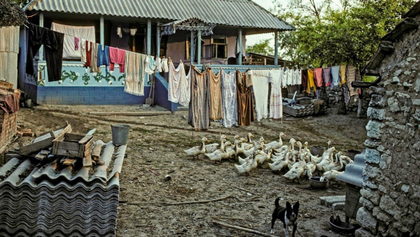 Брайан Тольберт в Советском Союзе, 1990 год.

Больше исторических..3