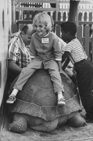 Чистые эмоции и удивление. Слепые дети на экскурсии в зоопарке..5