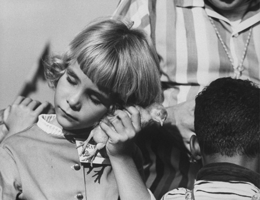 Чистые эмоции и удивление. Слепые дети на экскурсии в зоопарке..8