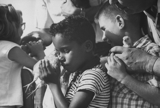 Чистые эмоции и удивление. Слепые дети на экскурсии в зоопарке..7