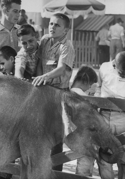 Чистые эмоции и удивление. Слепые дети на экскурсии в зоопарке..1