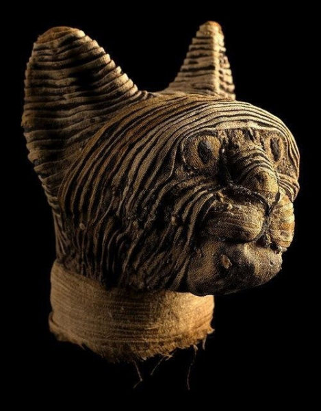 Голова мумифицированной кошки, 664–30 до н.э.

Больше исторических..0