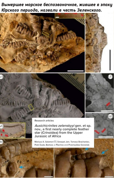 Как совместить историю и..0