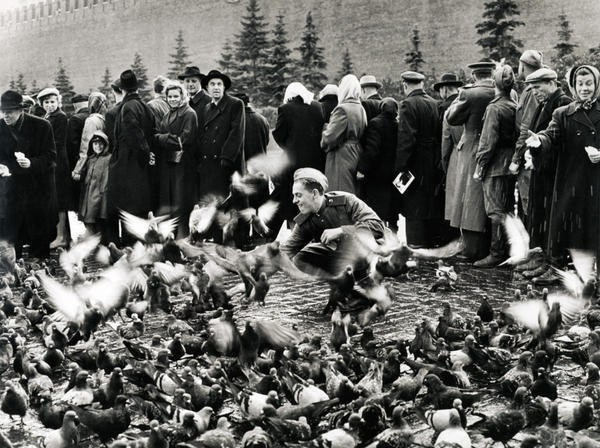 Красная площадь. Москва, РСФСР, СССР. Осень 1947 года.

Больше..0