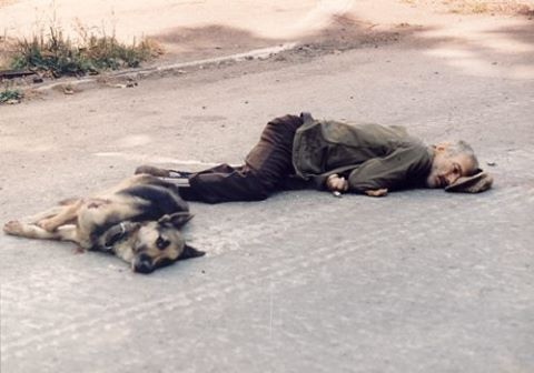 Мертвый грузинский солдат со своей собакой, война в Абхазии, 1993..0