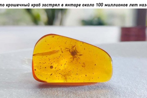 Подборка удивительных находок..8