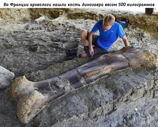 Подборка удивительных находок..7