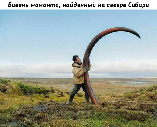 Прошлое нашей планеты и ее зачастую хардкорные..4