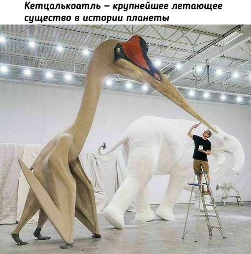 Прошлое нашей планеты и ее зачастую хардкорные..9