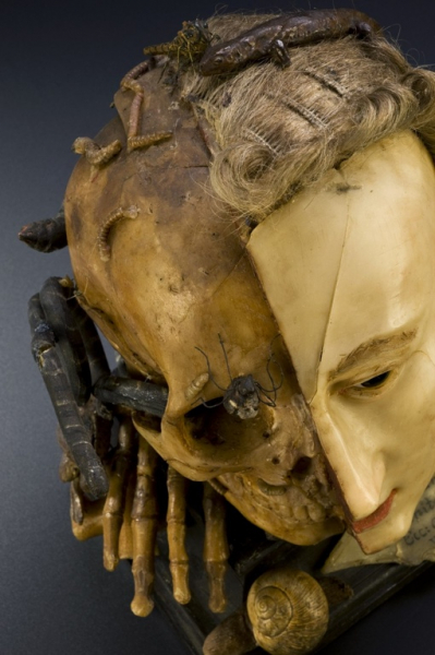 Раньше умели делать анатомические модели. Восковая модель..2