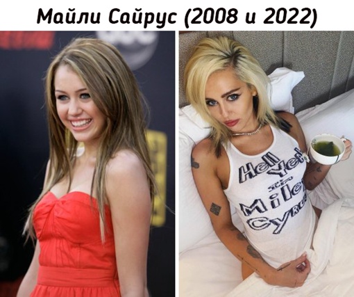 Знаменитости нулевых 