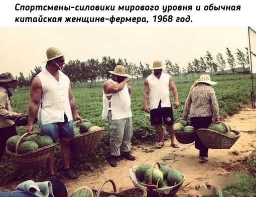 Дай старушке унести столько, сколько можно, она все и..0