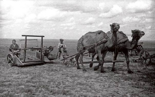Колхозники сельхозартели им. Осоавиахима выезжают на сенокос, 1942..0