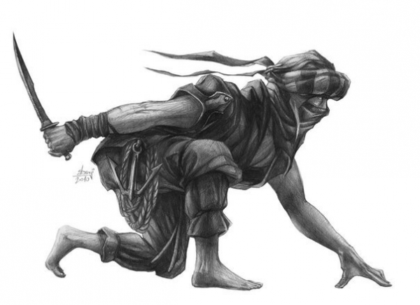 Ассасины 

Влияние ассасинов на историю огромно. Великолепные..0