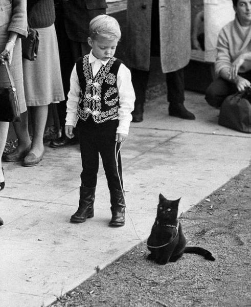 Кастинг черной кошки в Голливуде, 1961 год.
Фотограф: Ralf..3