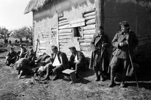 Вторая венгерская армия под Воронежем, СССР, 1942 год.

Под..0