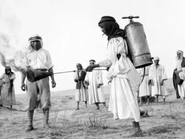 Подготовка к войне с саранчой, 1915 год.

..0