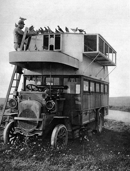 Французский армейский фургон для перевозки почтовых голубей, 1915..0