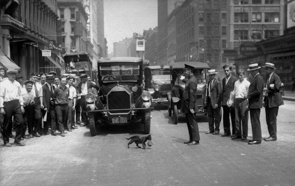 Кошка-мать останавливает движение. Нью-Йорк, 1925 год.

Больше..0