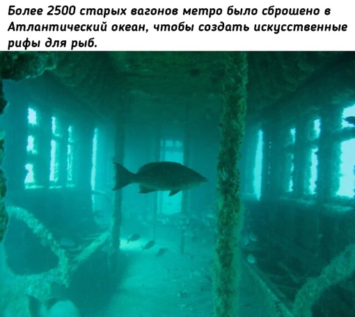 Красота заброшенных мест..7