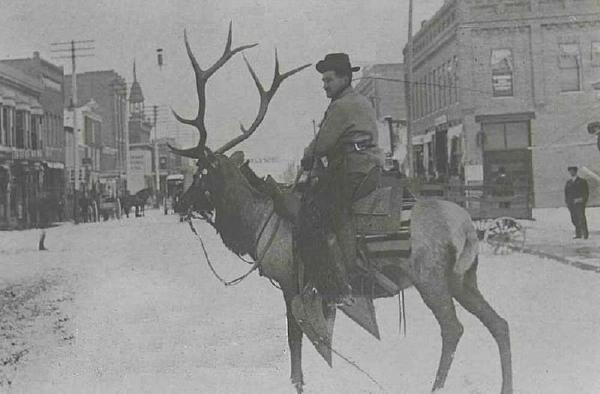 Мужчина едет на олене по городу...   США, 1900 год.

Больше..0