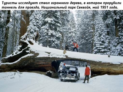 Немного красоты из архива National..8