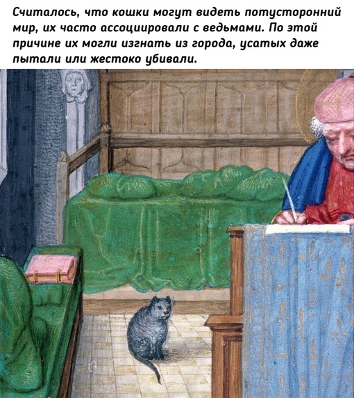 Почему в Средневековье кошек изображали такими..1