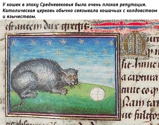 Почему в Средневековье кошек изображали такими..0