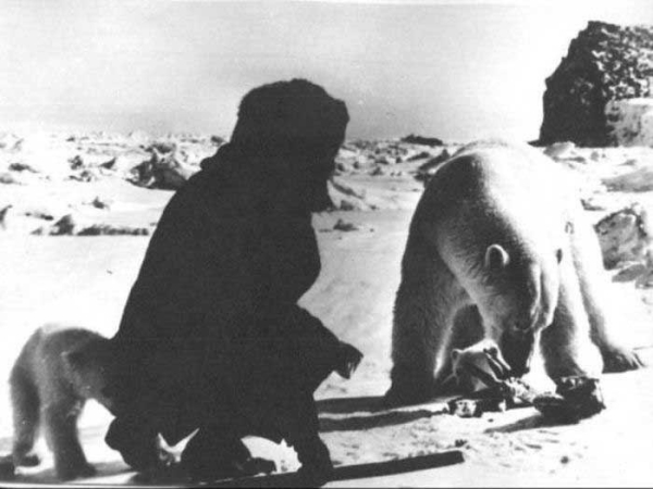 Полярник подкармливает белых медведей, 1980-е.

Больше..3