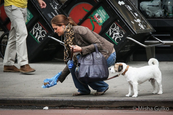 Шведская принцесса Мадлен убирает за своей собачкой...

Больше..0