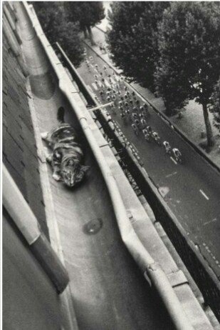 Свой Тур де франц, 1989 год.

..0