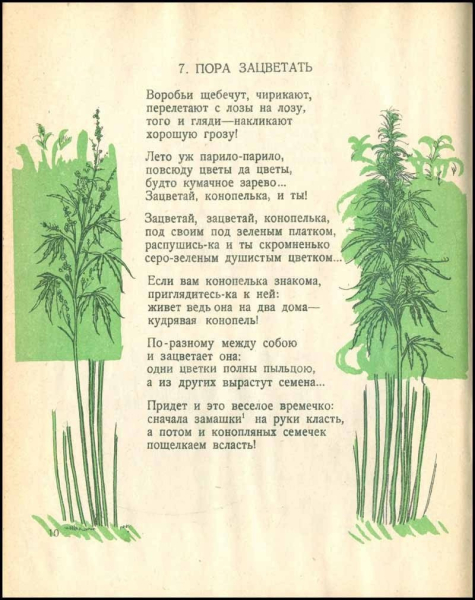 Детская книжка про коноплю, 1926 год.

..2