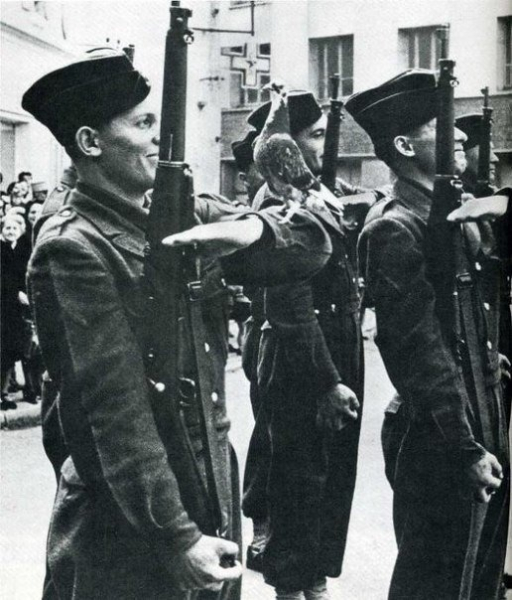 Наглый голубь...

..0