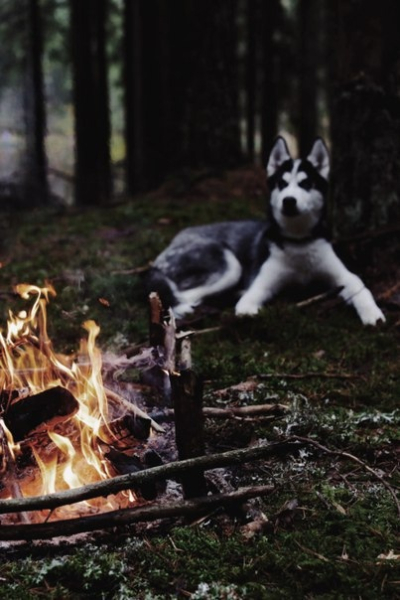 Отдыхать надо..6