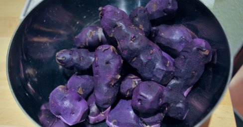 #history_news

Найдены древнейшие следы приготовления..0