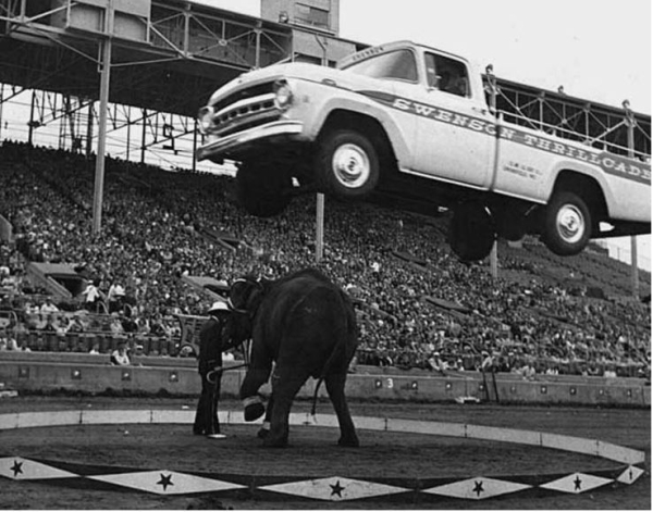 Полет пикапа над слоном, 1960 год.

..0